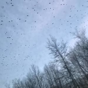 Meet your Posher, Sindi